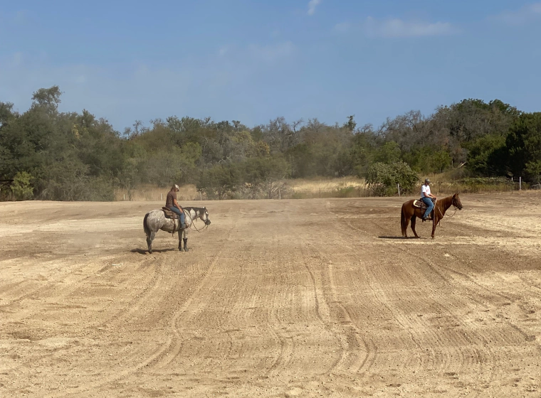 horse arena with some horses and persons with trees around